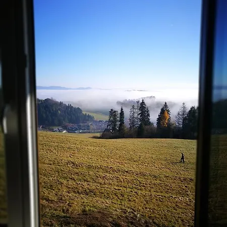 Pinewood *** شقة *